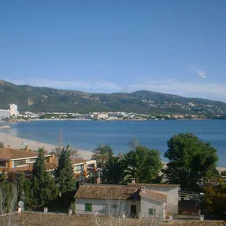 Teix Torrenova
